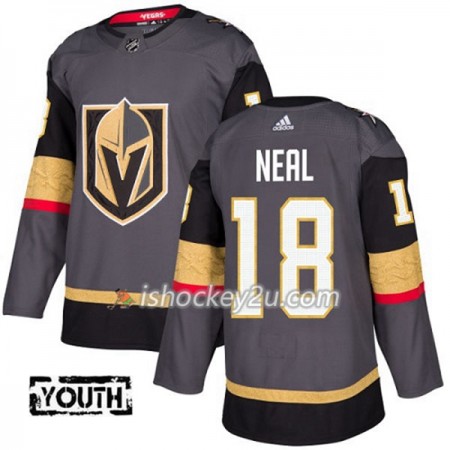 Børn NHL Vegas Golden Knights Trøje James Neal 18 Adidas 2017-2018 Grå Authentic